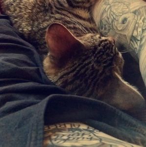 Meet your Posher, Bennett